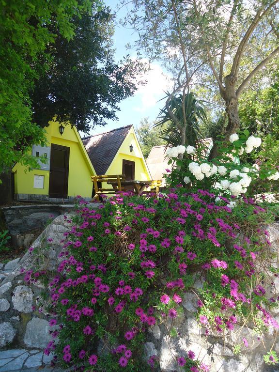 Apartments And Bungalows Mimoza Baosici Herceg Novi Exterior photo