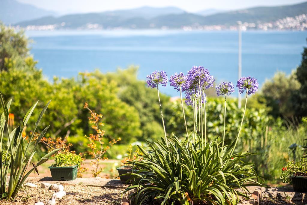 Apartments And Bungalows Mimoza Baosici Herceg Novi Exterior photo