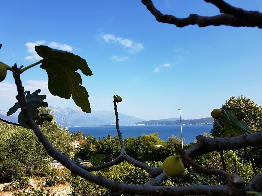 Apartments And Bungalows Mimoza Baosici Herceg Novi Exterior photo