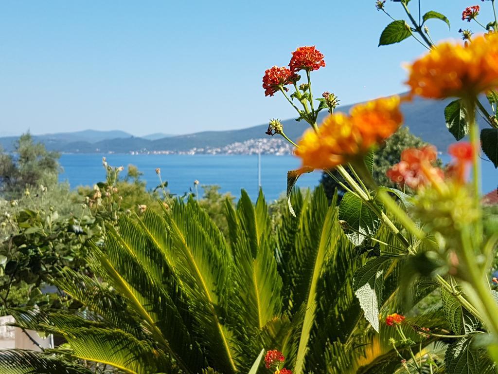 Apartments And Bungalows Mimoza Baosici Herceg Novi Exterior photo