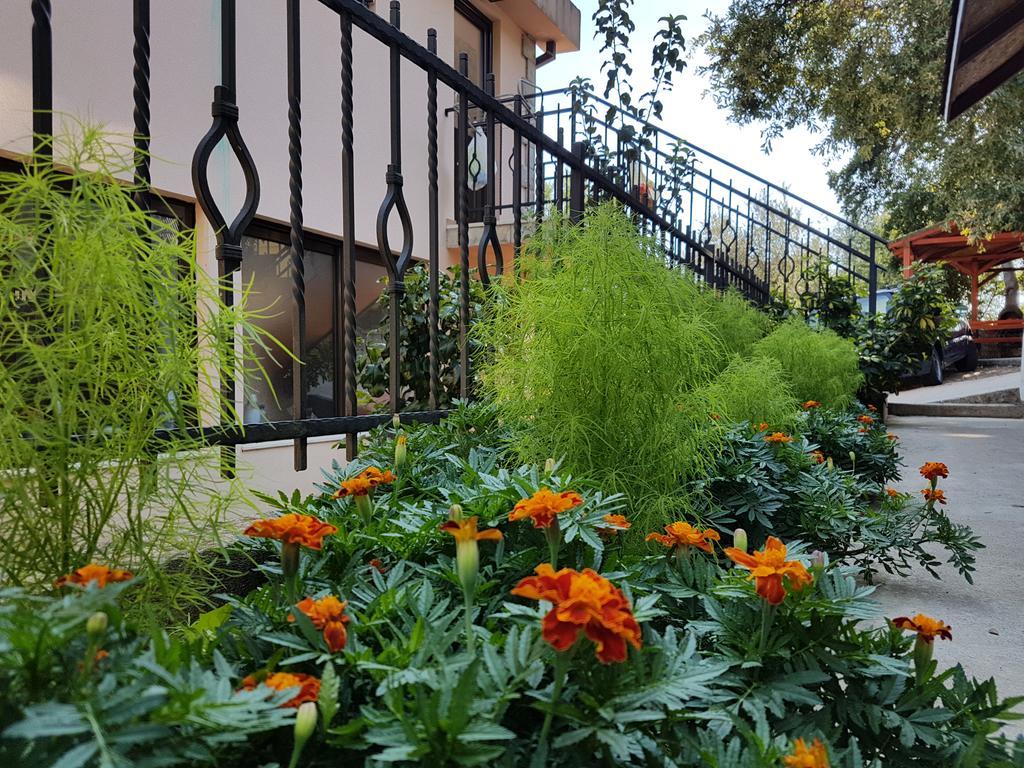 Apartments And Bungalows Mimoza Baosici Herceg Novi Exterior photo