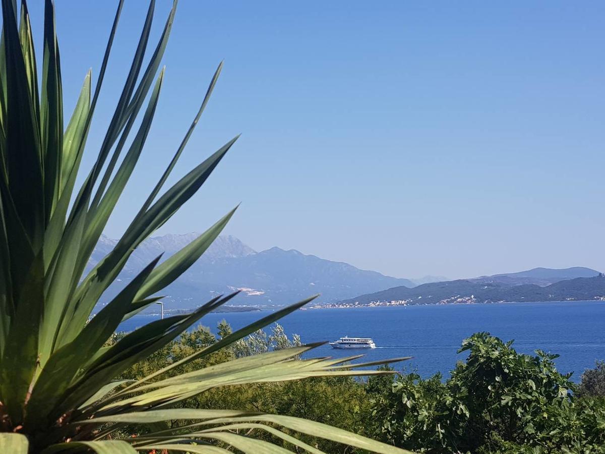 Apartments And Bungalows Mimoza Baosici Herceg Novi Exterior photo